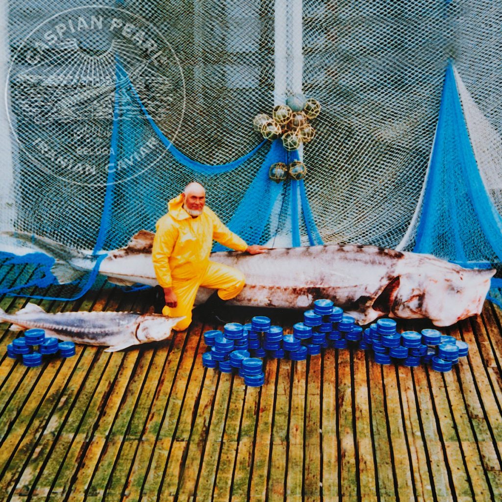 Caspian Pearl. Posts en Instagram para La Marca del Caviar. Esturión gigante.