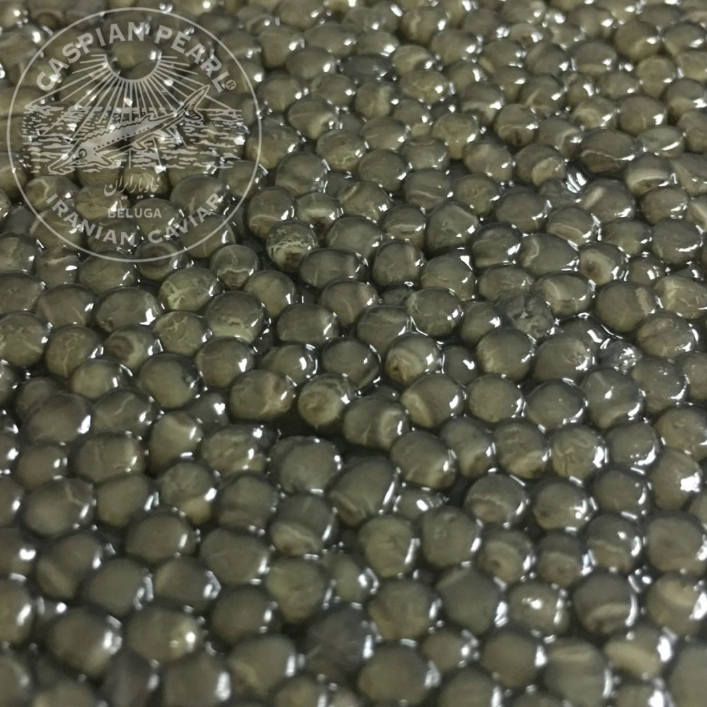 Caspian Pearl. Posts en Instagram para La Marca del Caviar. Huevas de Caviar de esturión Beluga EXTRA (000).