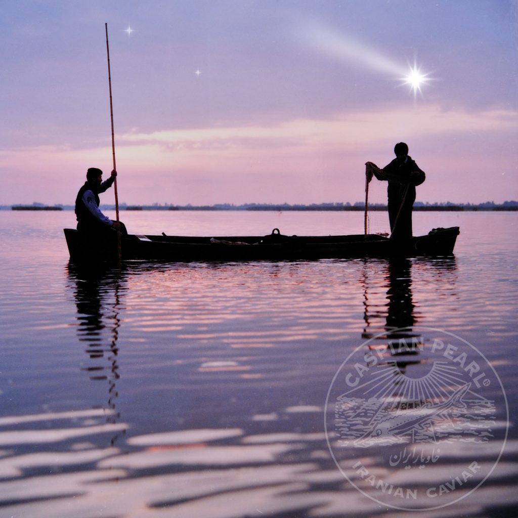 Caspian Pearl. Posts en Instagram para La Marca del Caviar. Pesca de esturión en Irán.