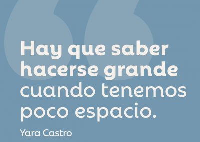 Pequeña gran cuestión
