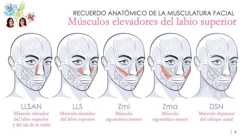 Presentación para ponencia de la Doctora Cristina Calderón sobre armonización orofacial con toxina botulínica