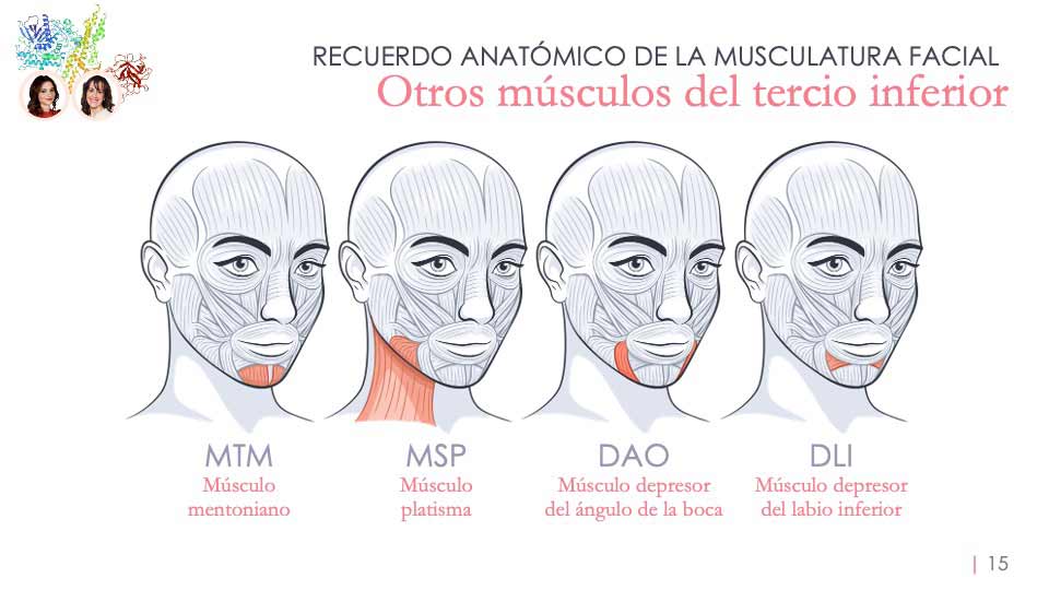 Presentación para ponencia de la Doctora Cristina Calderón sobre armonización orofacial con toxina botulínica
