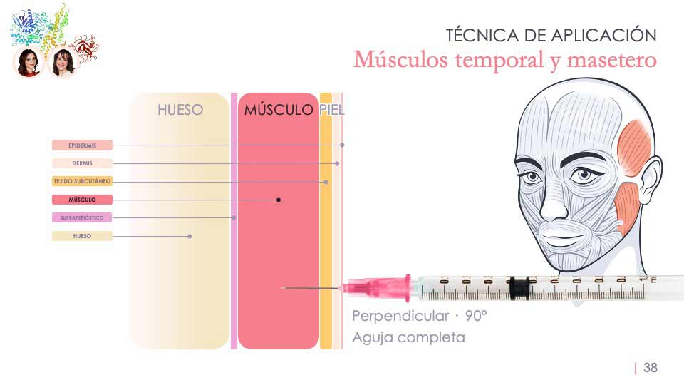 Presentación para ponencia de la Doctora Cristina Calderón sobre armonización orofacial con toxina botulínica